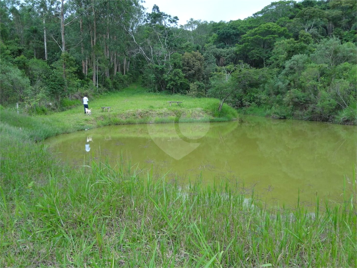 Chácara à venda com 4 suítes no Centro, Nazaré Paulista, SP