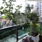 Apartamento à venda com 4 suítes em Santana, São Paulo, SP