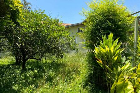 Terreno à venda com 1 quarto em Campo Grande, São Paulo, SP