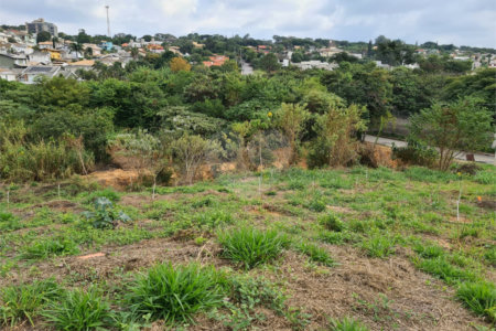 Terreno à venda em Bosque, Vinhedo, SP