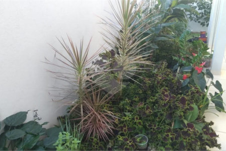 Casa à venda com 3 suítes no condomínio Damha III, São Carlos - SP