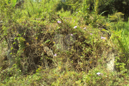 Chácara à venda com 1 quarto em Cruz das Almas, Biritiba-mirim, SP