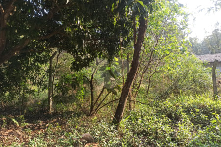 Terreno à venda em Bosque dos Eucalíptos, Atibaia, SP