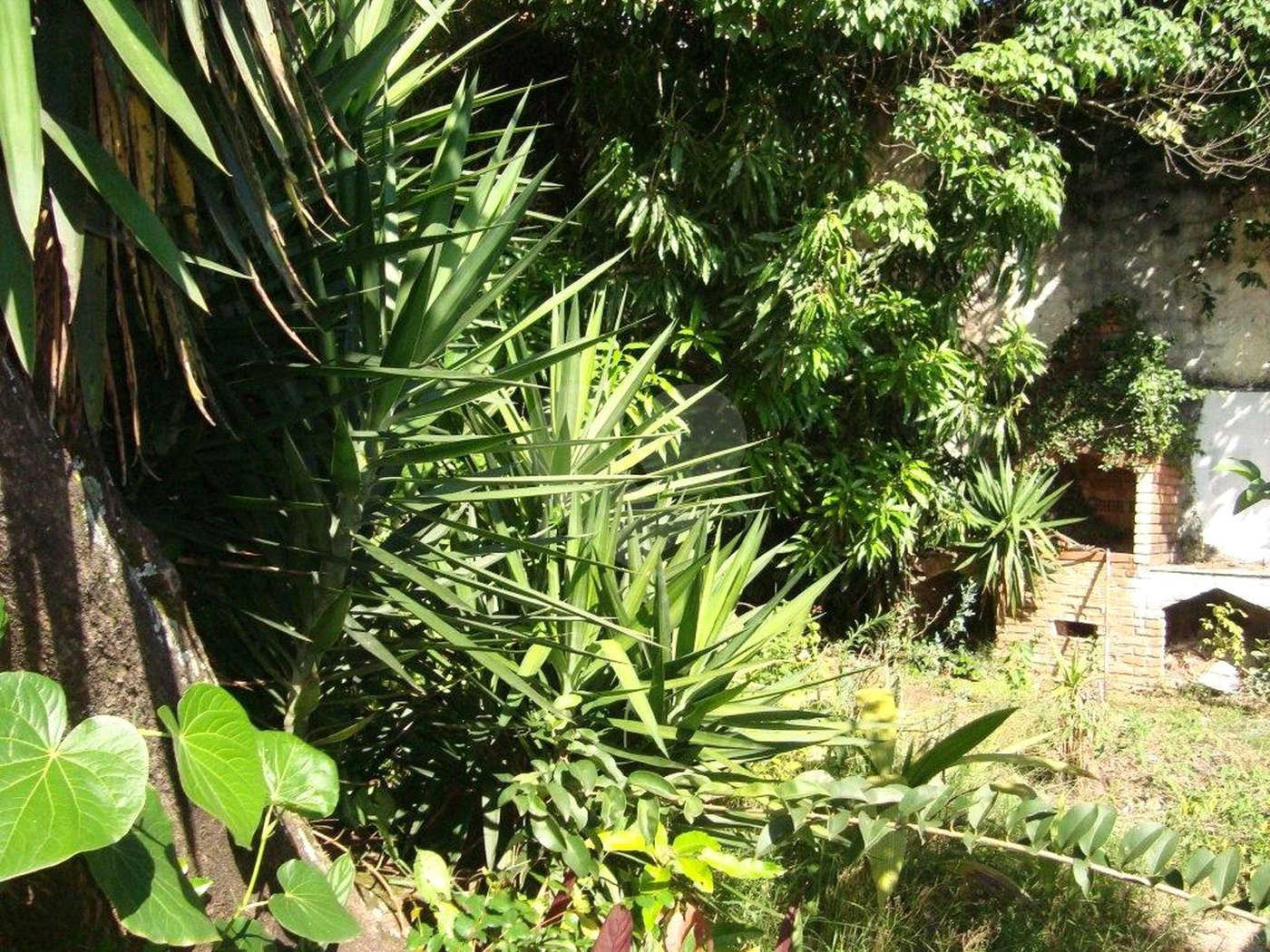 Casa à venda com 3 suítes em Jardim Leonor, São Paulo, SP
