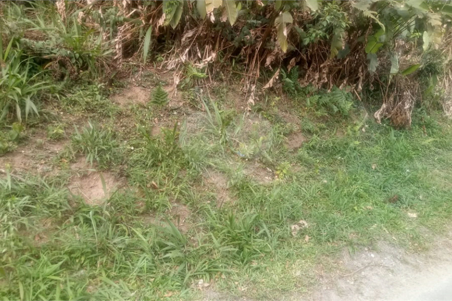 Terreno à venda em Caraguatá, Mairiporã, SP