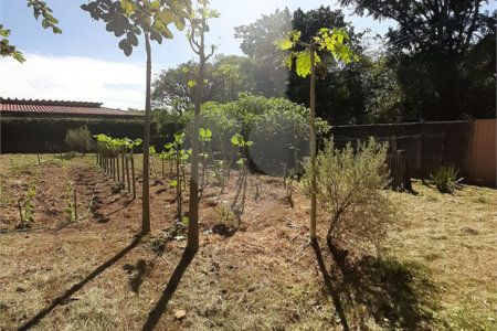 Terreno à venda em Vila Guido, Itu, SP