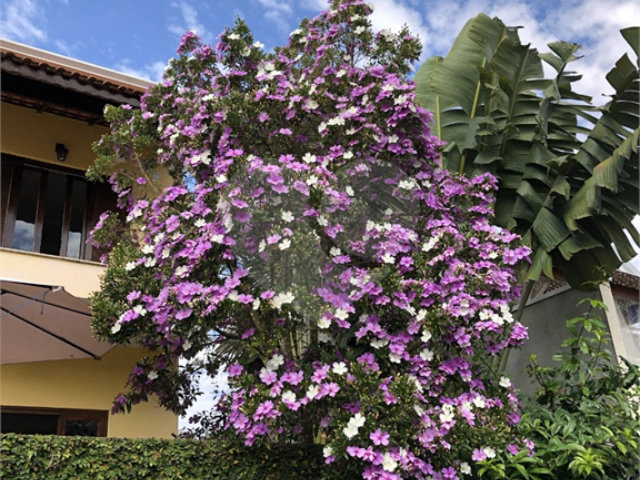 Sobrado à venda com 3 quartos, sendo 1 suíte,  em Jardim Peri, São Paulo, SP