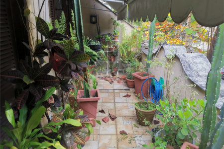 Casa à venda com 5 quartos em Andaraí, Rio de Janeiro, RJ