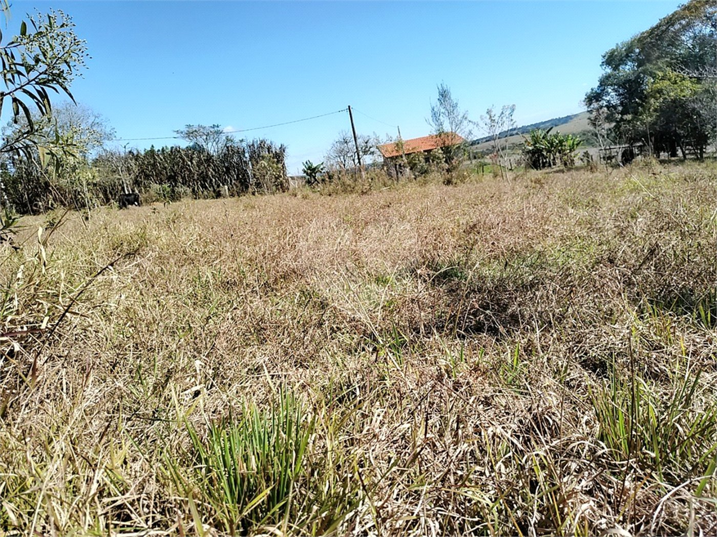 Sítio à venda com 3 quartos, sendo 1 suíte,  em Da Barra, Salto de Pirapora, SP