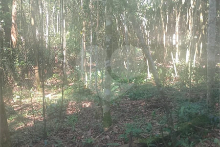 Terreno à venda em Dos Finco, São Bernardo do Campo, SP