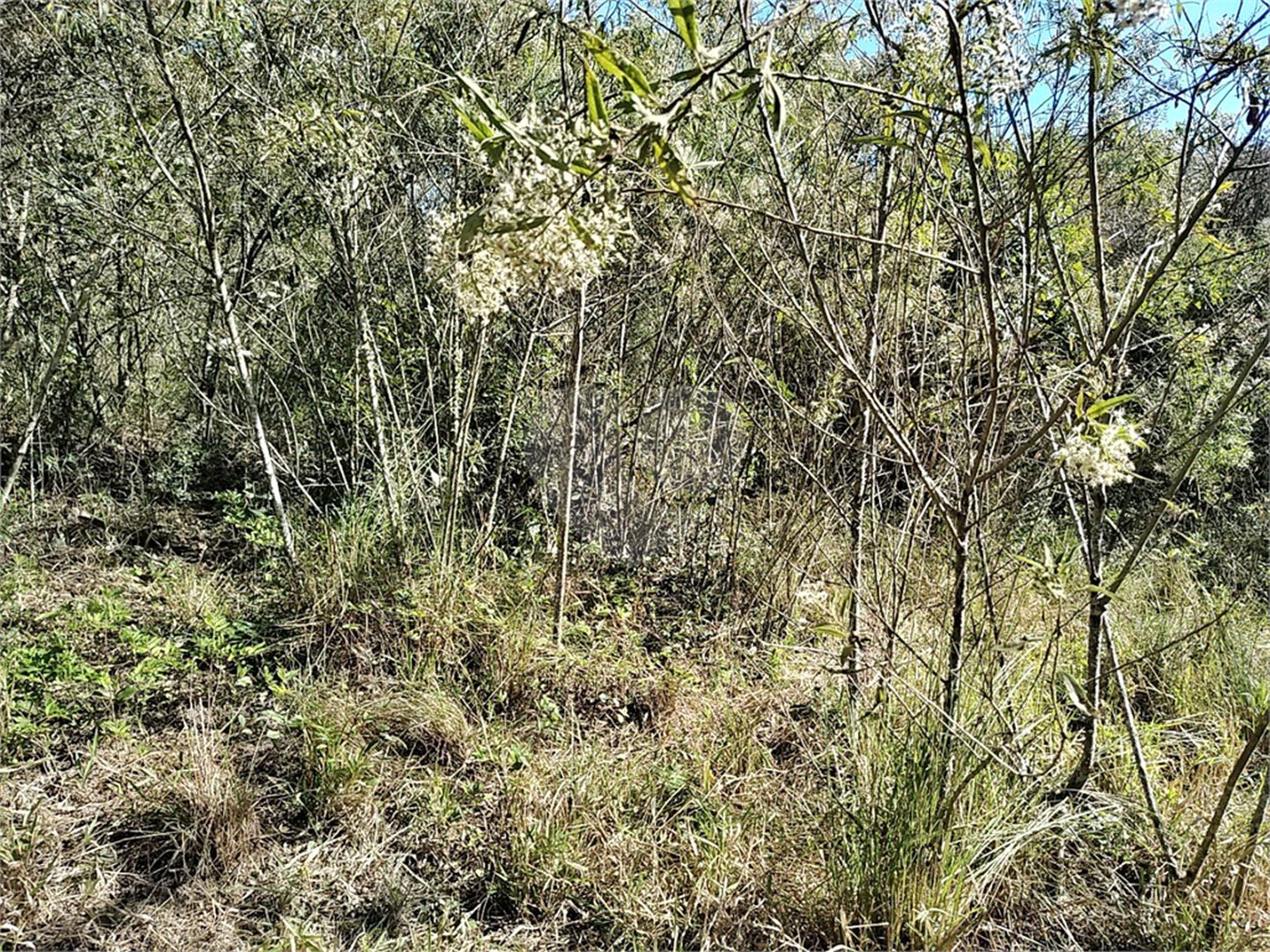 Sítio à venda com 3 quartos, sendo 1 suíte,  em Da Barra, Salto de Pirapora, SP