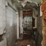 Sobrado à venda com 6 quartos em Água Fria, São Paulo, SP