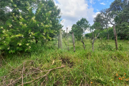Terreno à venda em Chácaras do Guacuri, Itupeva, SP