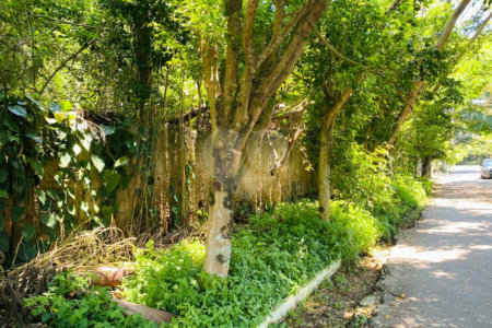 Terreno à venda em Interlagos, São Paulo, SP