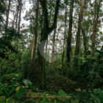 Terreno à venda em Morumbi, São Paulo, SP
