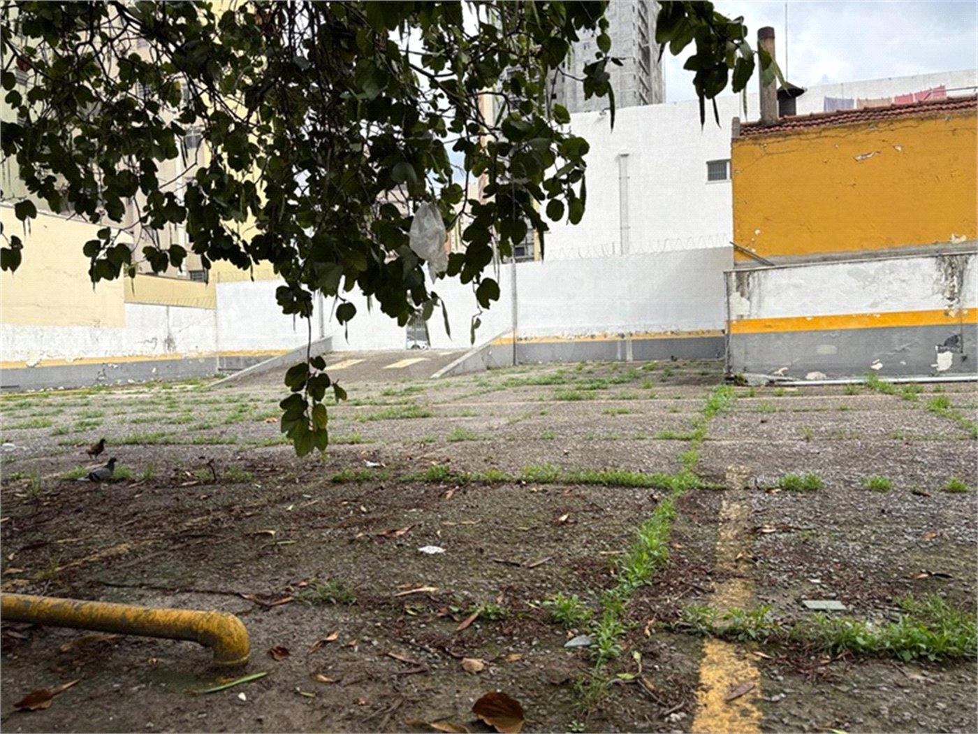 Prédio à venda com 3 quartos em Perdizes, São Paulo, SP
