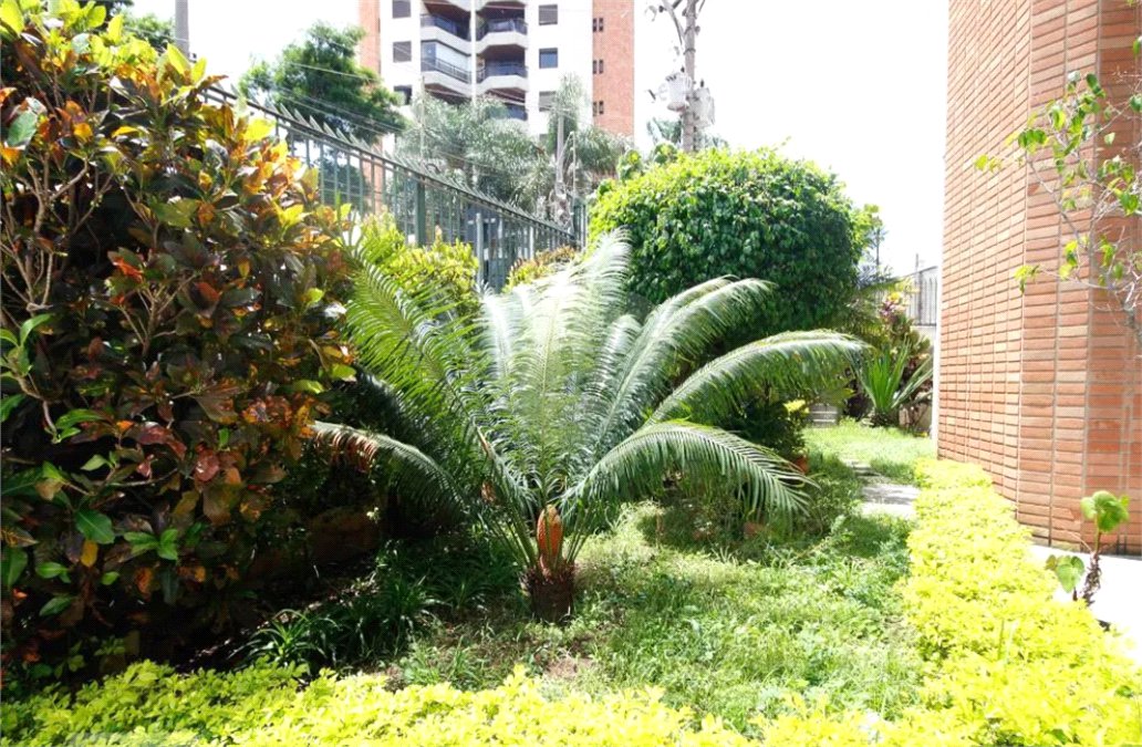 Apartamento à venda com 3 quartos, sendo 1 suíte, em Parque Mandaqui, São Paulo, SP