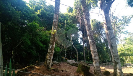 Terreno à venda em São Pedro (cambaquara), Ilhabela, SP