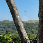 Casa à venda com 3 quartos, sendo 1 suíte, no Centro, Guararema, SP