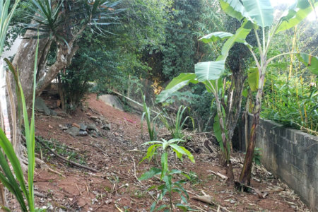 Sobrado à venda com 3 quartos, sendo 1 suíte, em Horto Florestal, São Paulo, SP