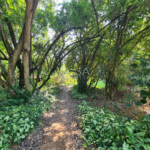 Terreno em condomínio à venda com 3 suítes em Jardim Novo Mundo, Sorocaba, SP