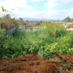 Terreno à venda em Taiaçupeba, Mogi das Cruzes, SP
