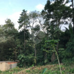 Terreno à venda em Serra da Cantareira, Mairiporã, SP