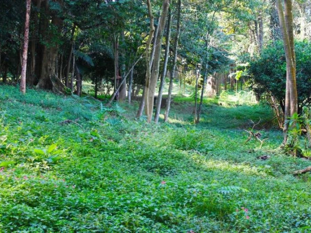 Terreno à venda no condomínio Chácara Flora, São Paulo - SP