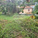 Terreno à venda ou para alugar em Horto, São Paulo, SP