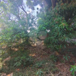 Terreno à venda em Vila da Fonte, Sorocaba, SP