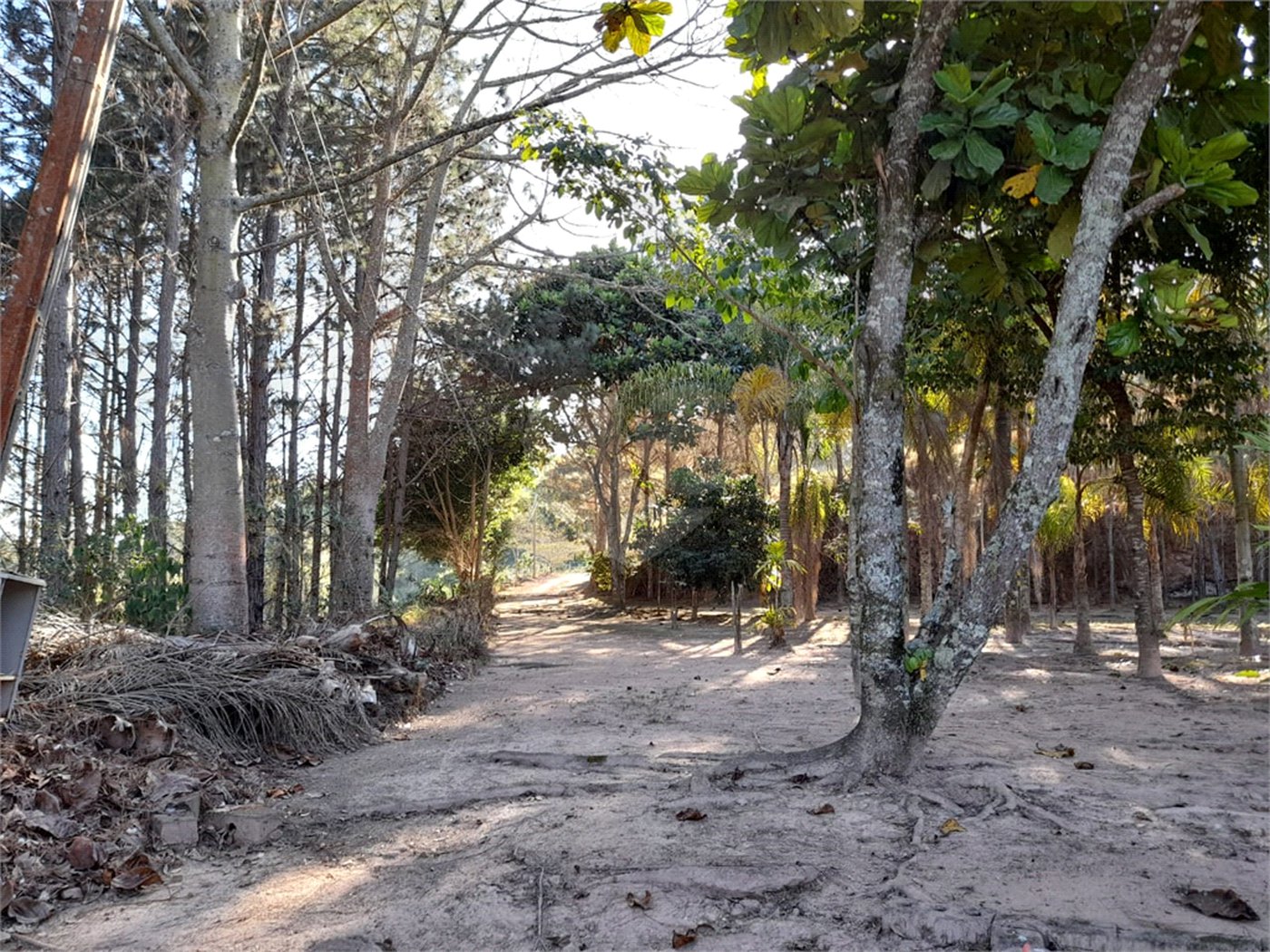 Sítio à venda no Centro, Salesópolis, SP