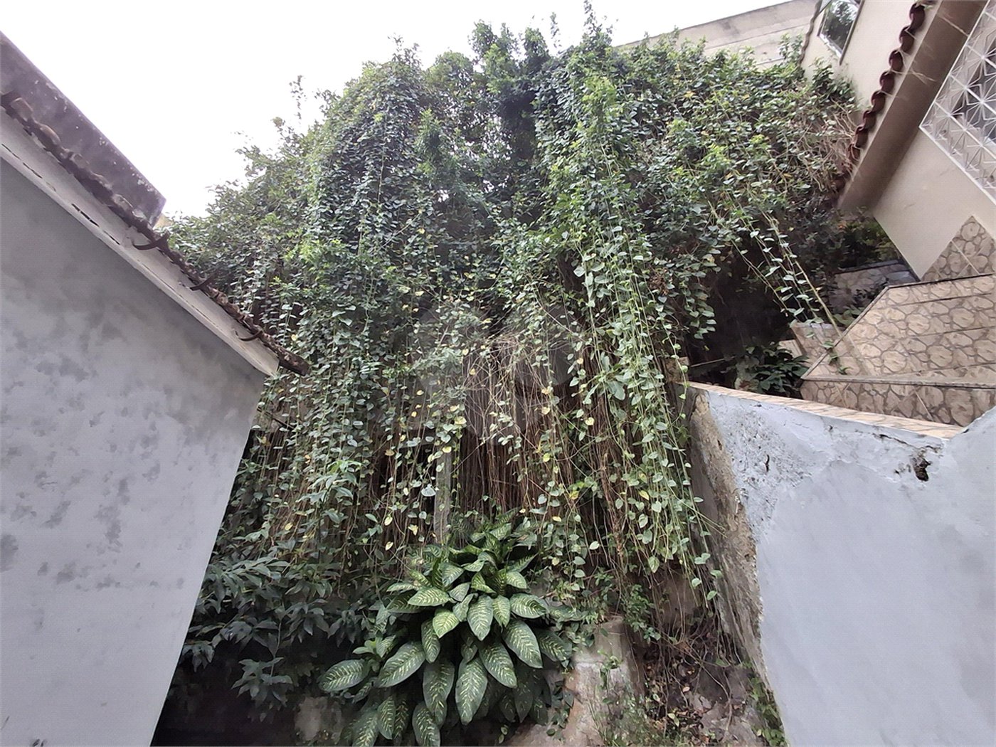 Casa à venda com 3 quartos em Andaraí, Rio de Janeiro, RJ