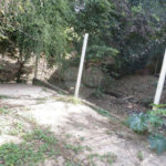 Terreno à venda ou para alugar em Água Fria, São Paulo, SP