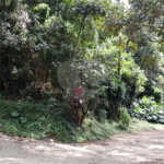 Terreno à venda em Serra da Cantareira, Mairiporã, SP