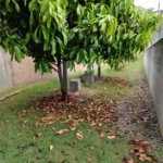 Apartamento à venda com 2 quartos em Conjunto Habitacional Jova Rural, São Paulo, SP