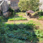 Terreno à venda em Tucuruvi, São Paulo, SP