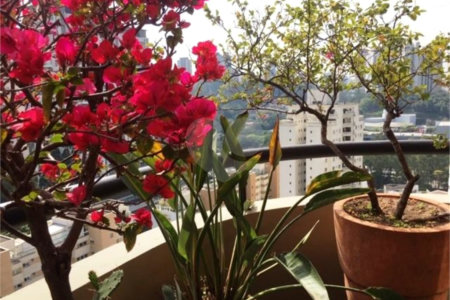 Cobertura à venda com 3 quartos, sendo 1 suíte,  em Vila Andrade, São Paulo, SP