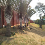 Casa à venda com 3 quartos, sendo 1 suíte, no condomínio Golden Park Residence II, Sorocaba - SP