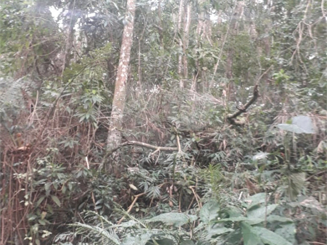 Terreno à venda em Suasalito, Mairiporã, SP