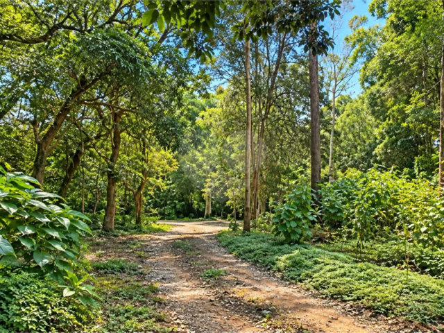 Terreno à venda em Interlagos, São Paulo, SP