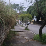 Terreno na rua Alcindo Bueno de Assis, localizada no bairro do Tucuruvi /Tremembé em São Paulo. Agende uma visita
