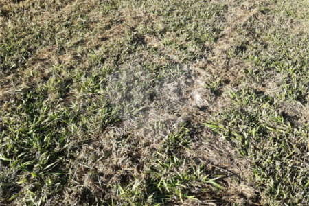 Terreno à venda no condomínio Terras de Santa Izabel, Salto - SP
