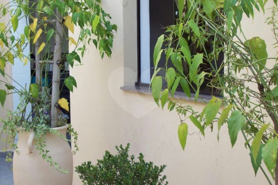 Casa Térrea à venda com 3 suítes em Parque Novo Mundo, São Paulo, SP