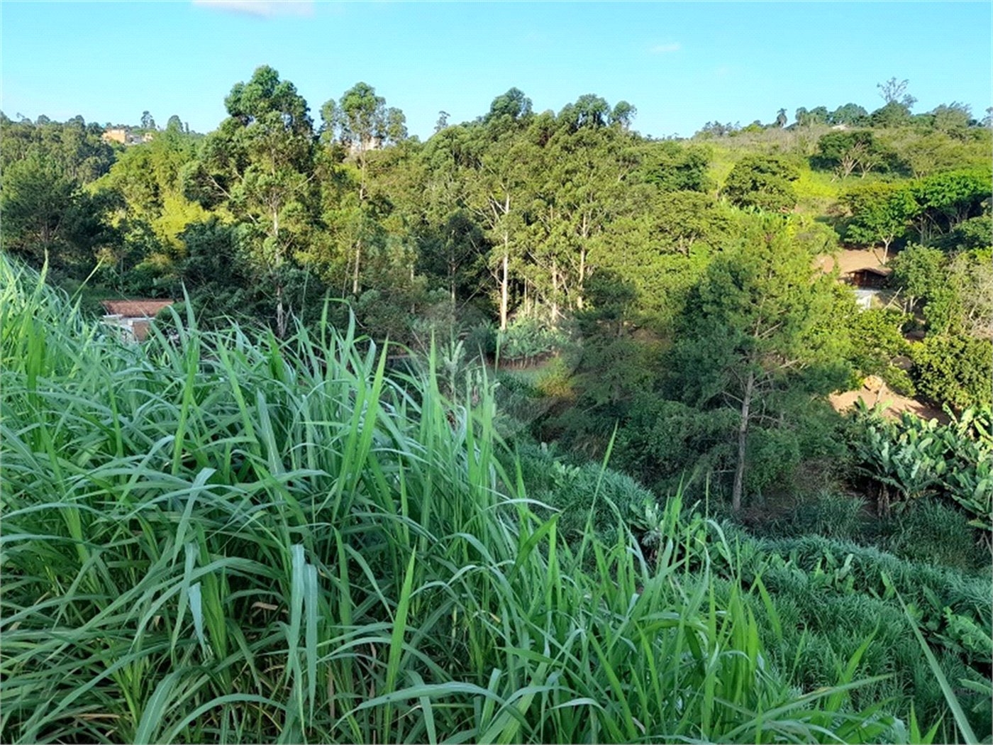 Área de Terra à venda em Três Pistas, Atibaia, SP