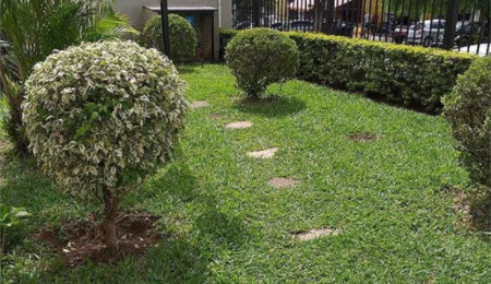 Apartamento à venda com 2 quartos em Jardim Ivana, São Paulo, SP