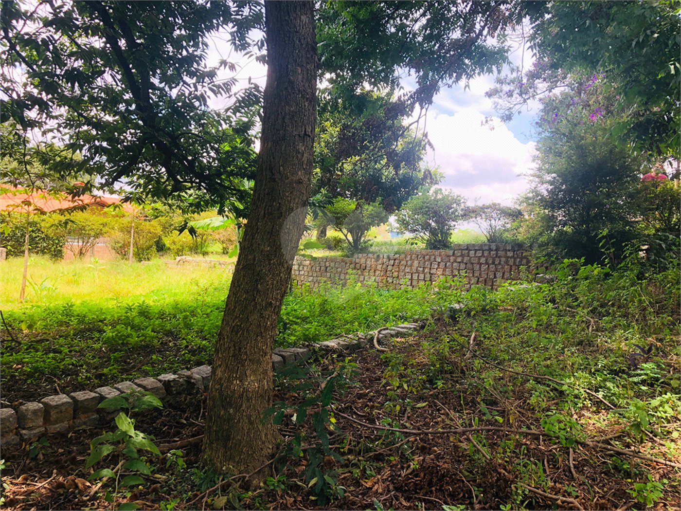 Terreno à venda em Tremembé, São Paulo, SP