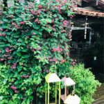 Hotel à venda com 16 suítes em Geribá, Armação dos Búzios, RJ
