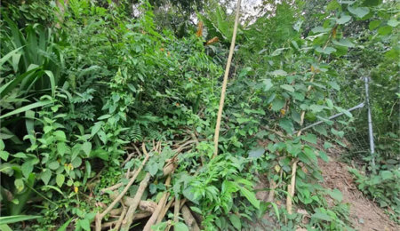 Loteamento à venda em Jardim Amália, São Paulo, SP