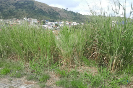 Terreno à venda no condomínio Residencial Mirela - Lotes e Terrenos, Rio de Janeiro - RJ