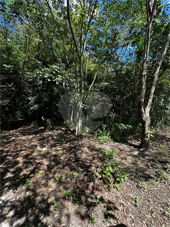 Terreno à venda em Residencial Emilio de Andrade, Ponta Porã, MS